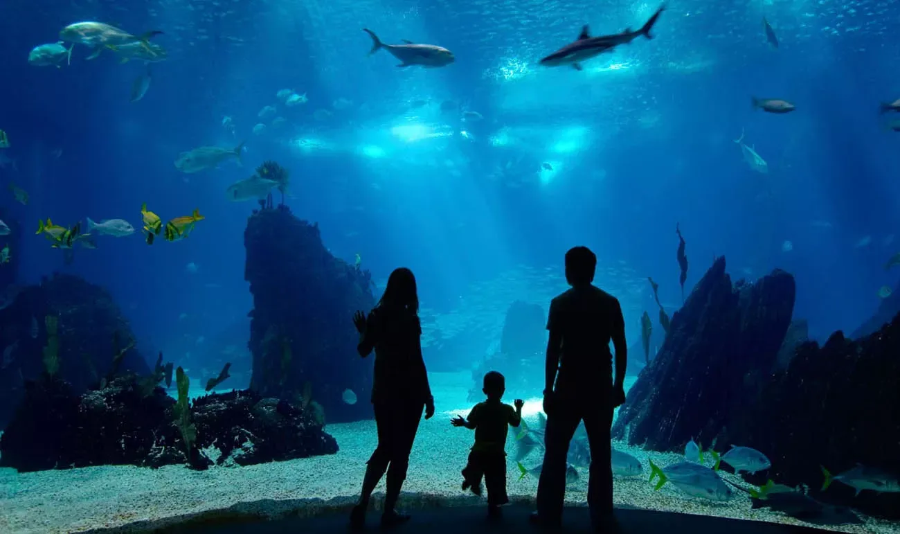 Pessoa em camelo no deserto