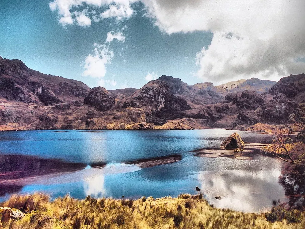 Pessoa em camelo no deserto