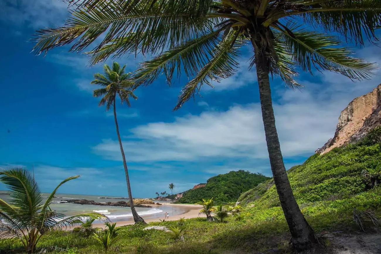 Pessoa em camelo no deserto