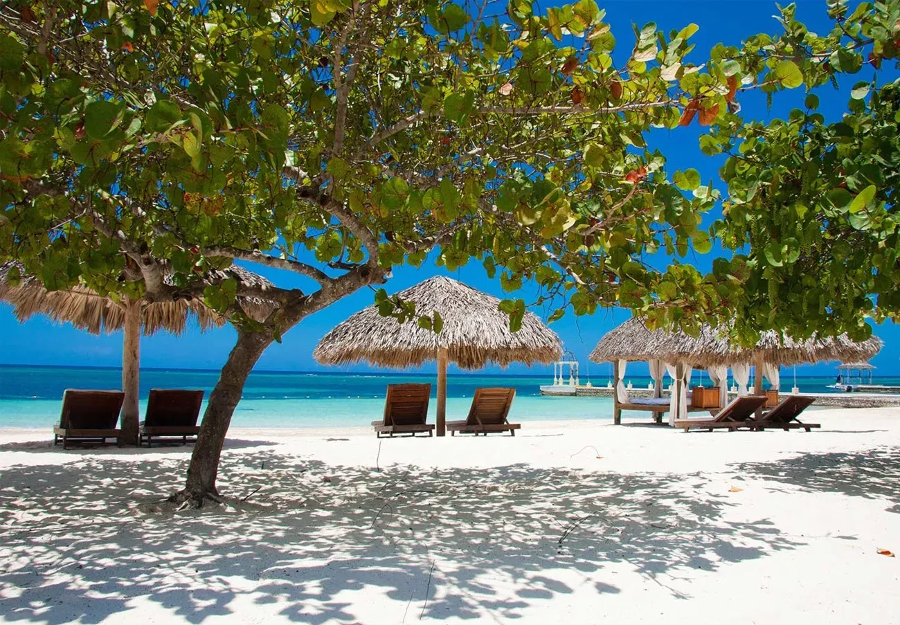 Pessoa em camelo no deserto