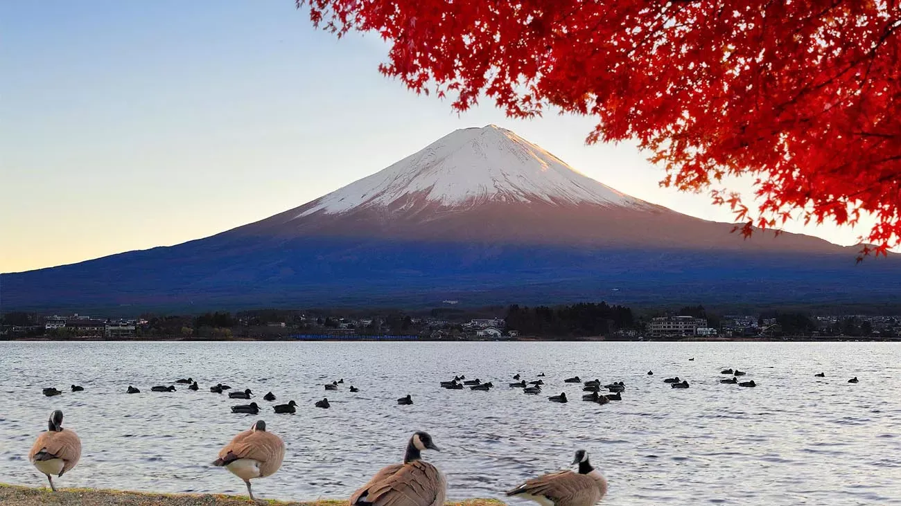 As Maravilhas do Japão