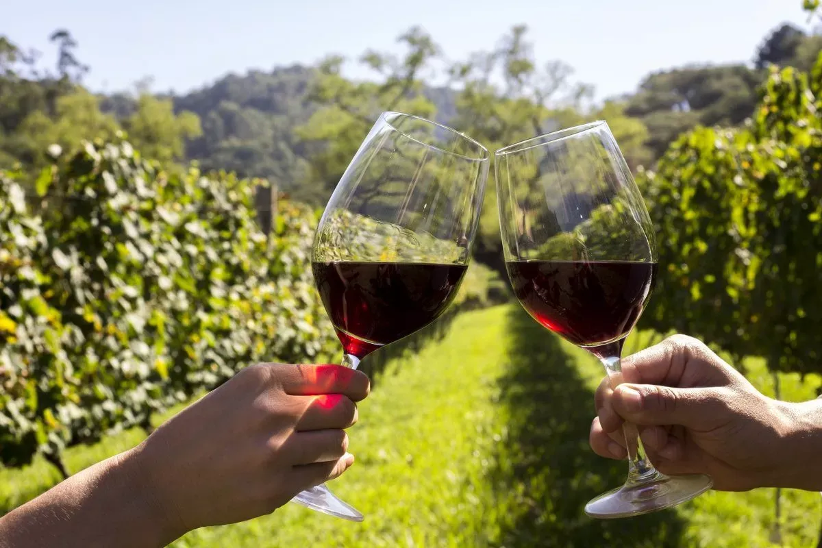 Destination Wedding em Vinícola no Chile