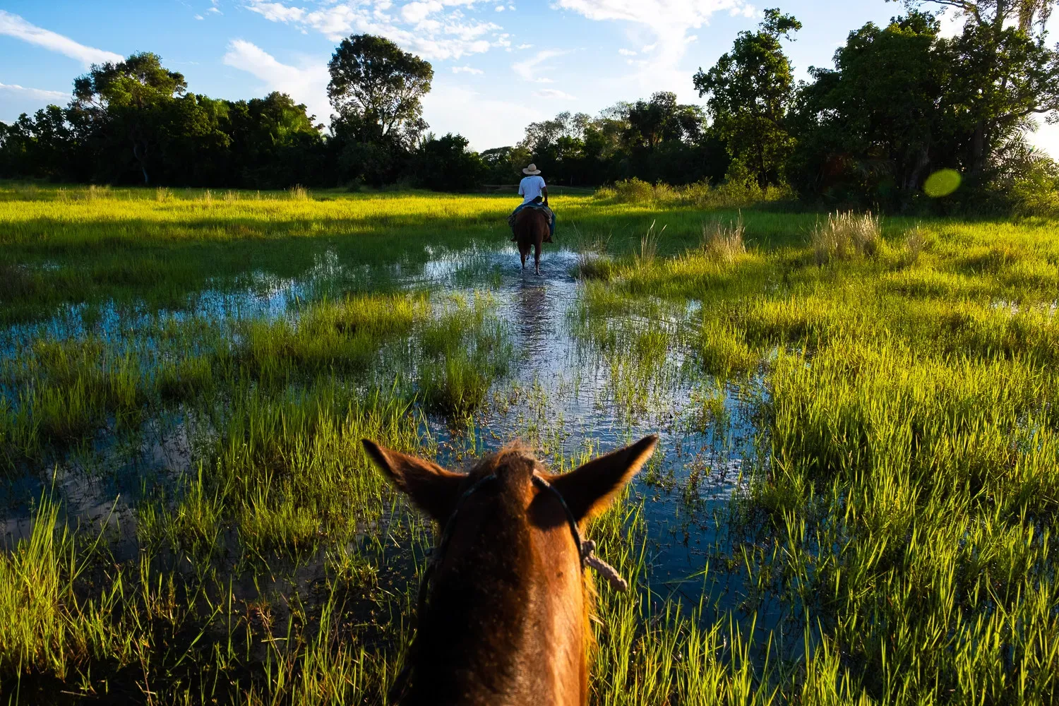 Bonito com Pantanal