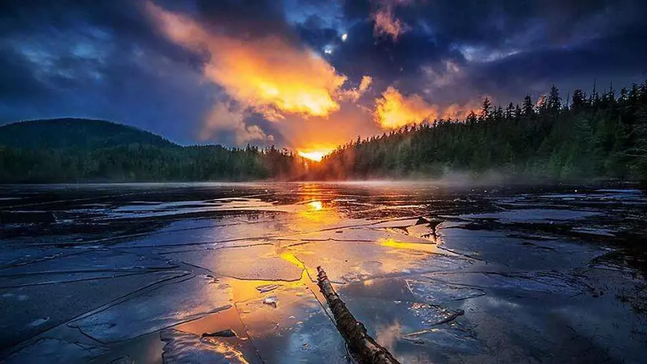 Pessoa em camelo no deserto