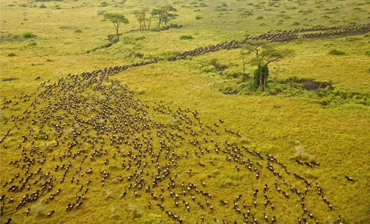 Pessoa em camelo no deserto