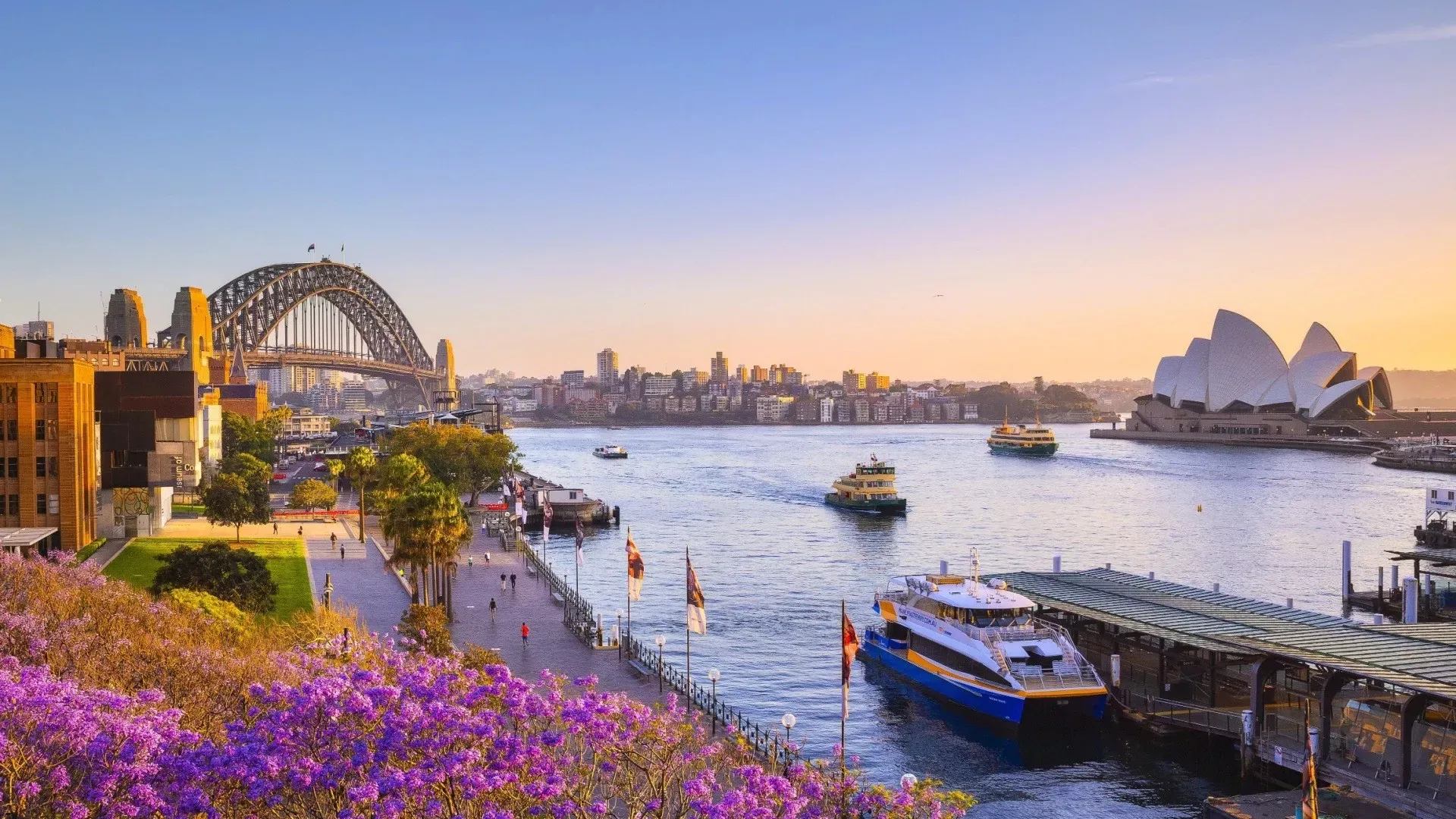 Pessoa em camelo no deserto