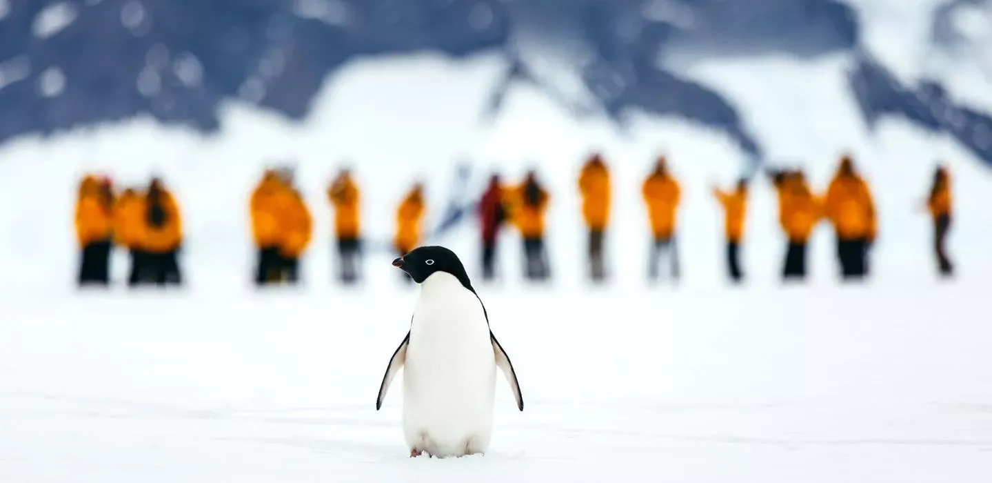 Pessoa em camelo no deserto