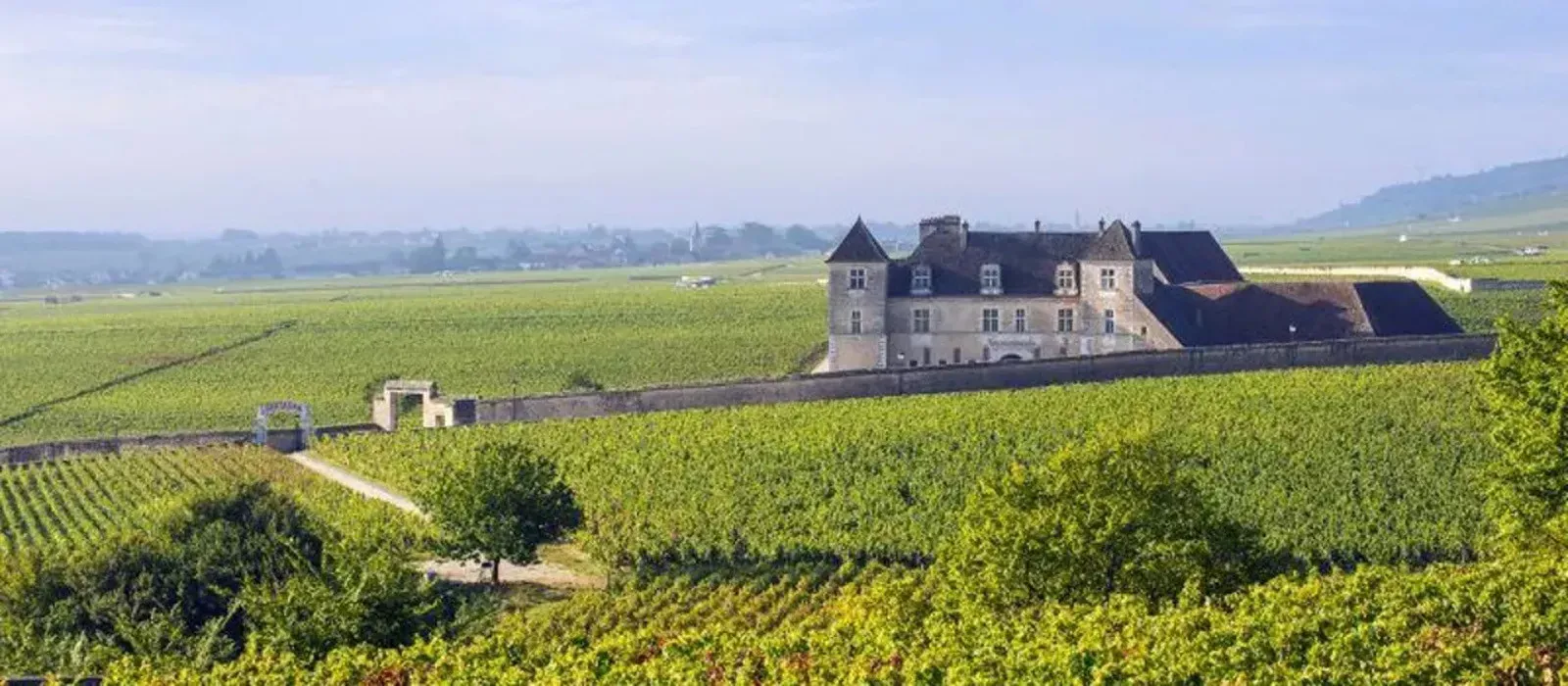 Pessoa em camelo no deserto