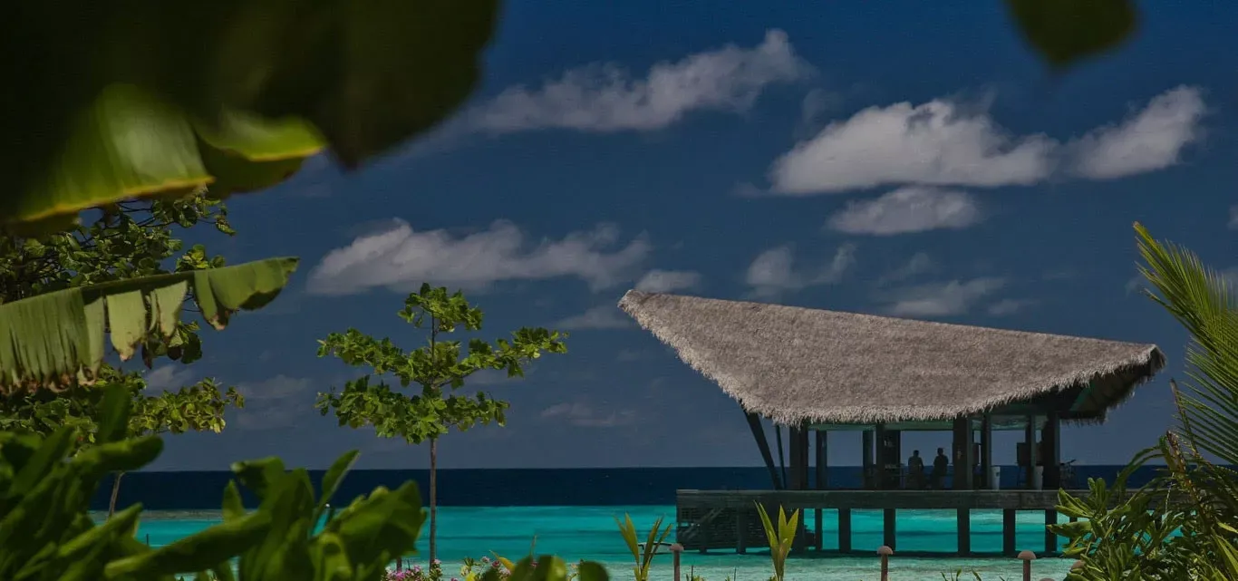 Pessoa em camelo no deserto