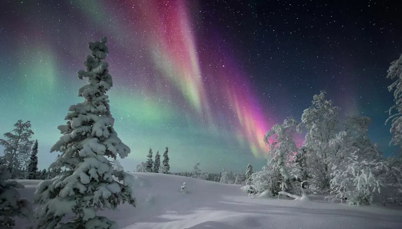 Pessoa em camelo no deserto
