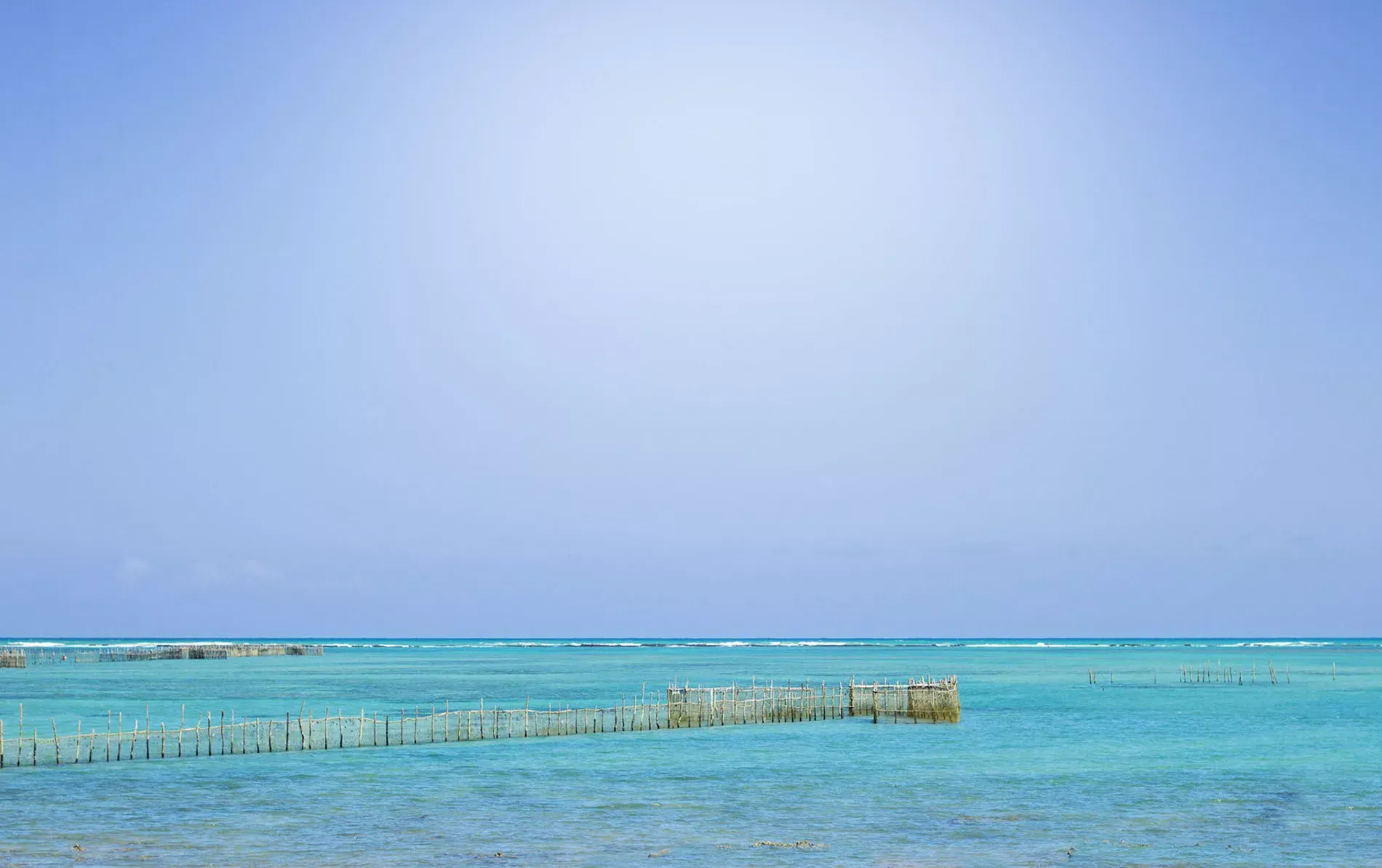 Pessoa em camelo no deserto