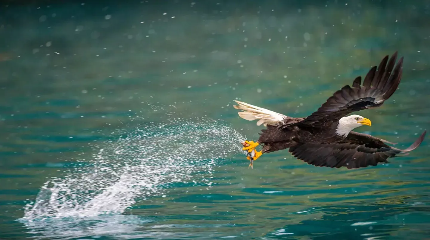 Pessoa em camelo no deserto