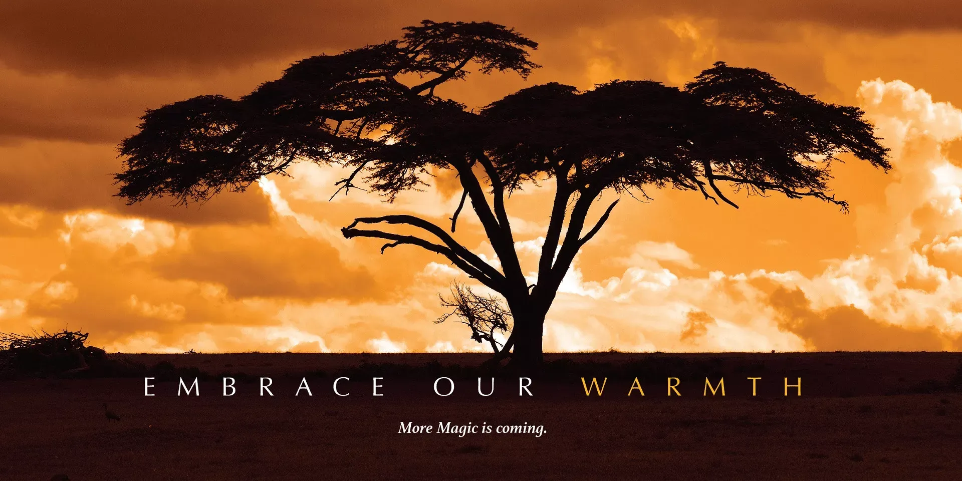 Quênia e Ilhas Mauricio