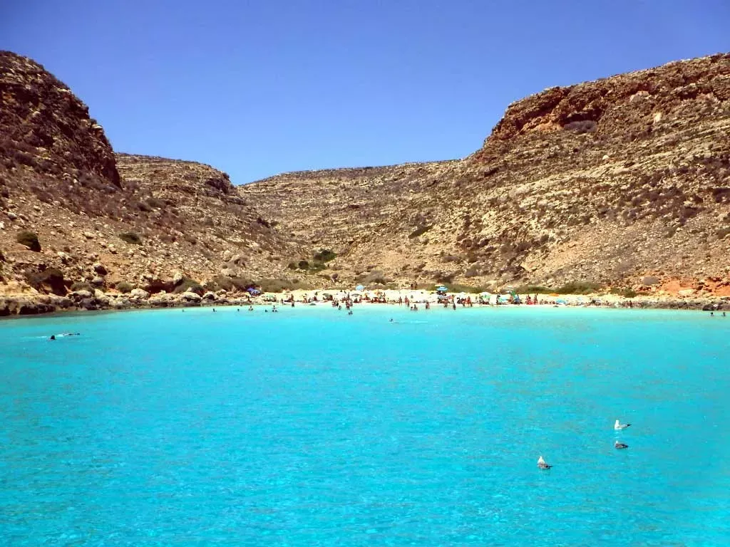 Pessoa em camelo no deserto