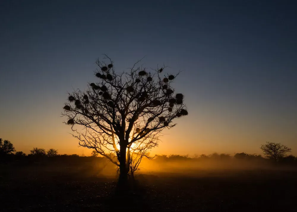Pessoa em camelo no deserto