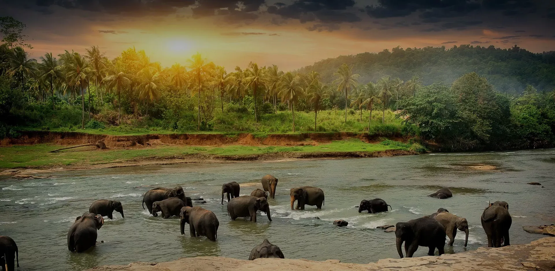 Sri Lanka Primeiras Impressões