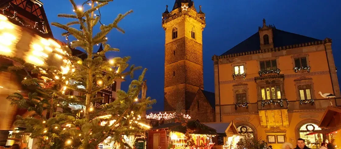 Pessoa em camelo no deserto