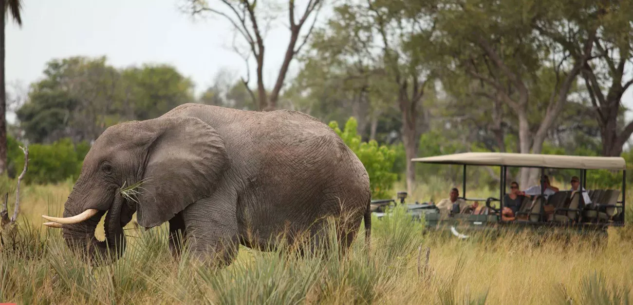 Pessoa em camelo no deserto