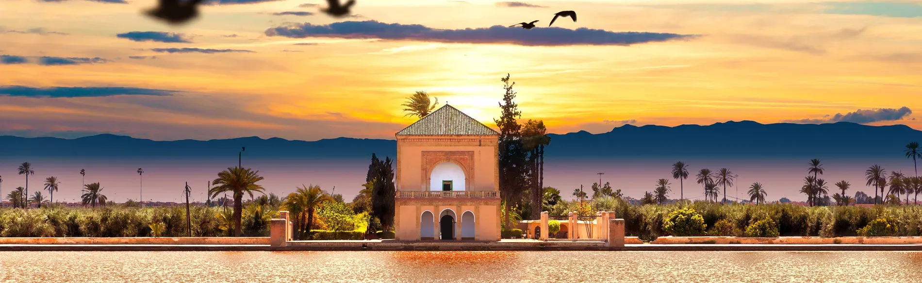 Pessoa em camelo no deserto