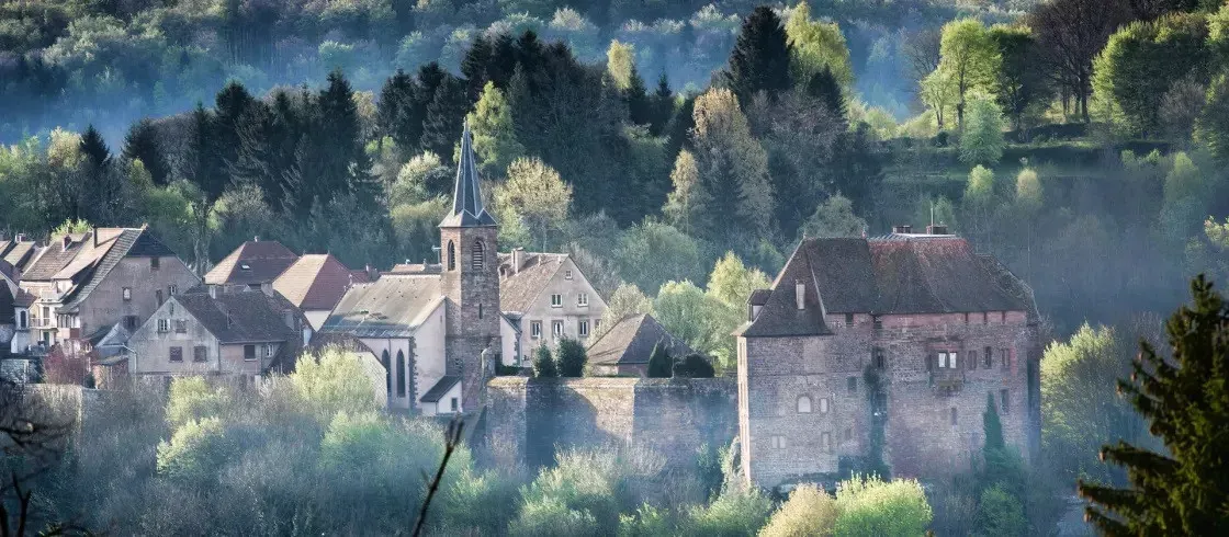 A magia da floresta negra e da Alsácia