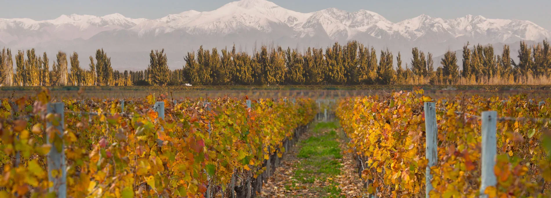 Hotéis de vinícola em Luján de Cuyo