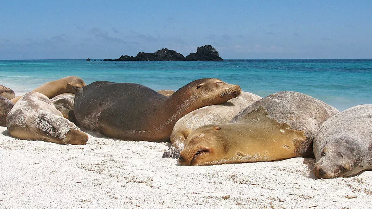 Ilhas Galápagos: Yacht la Pinta