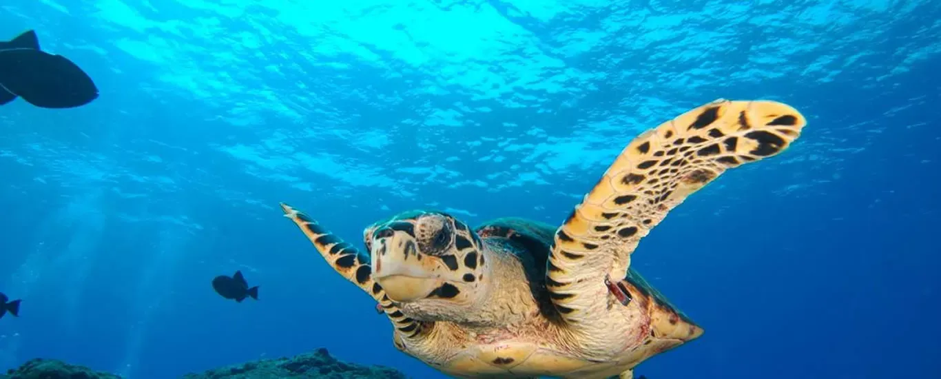 Pousadas Turísticas