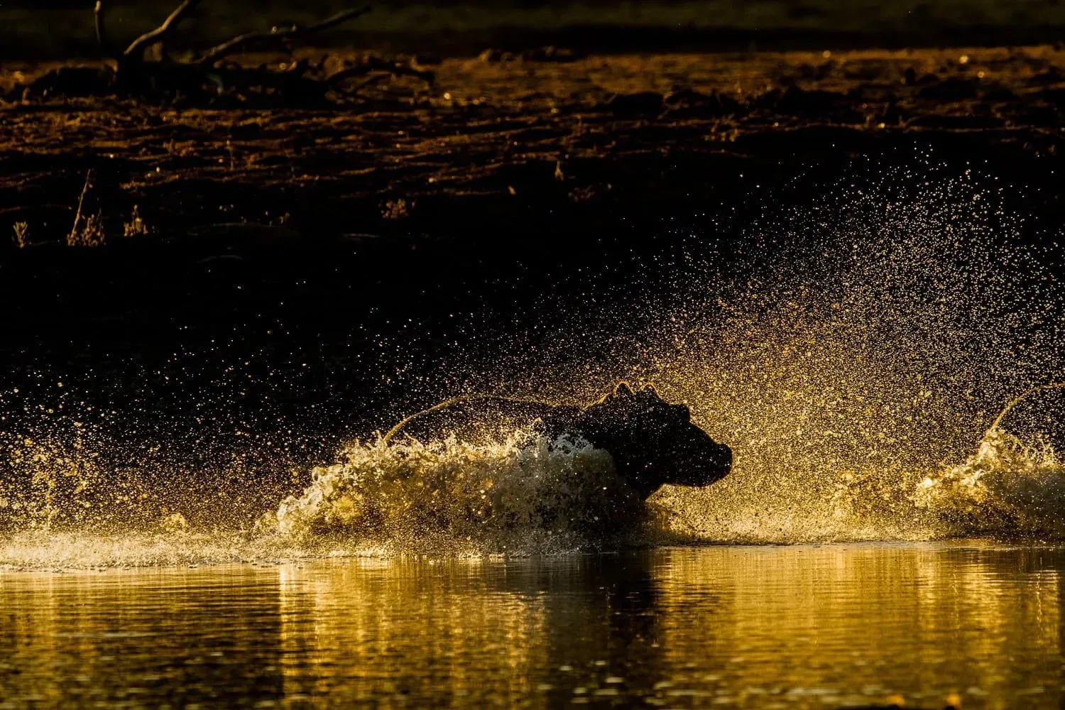 Pessoa em camelo no deserto