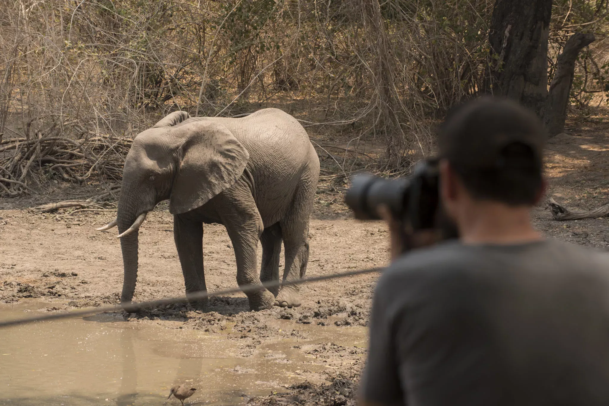 Pessoa em camelo no deserto