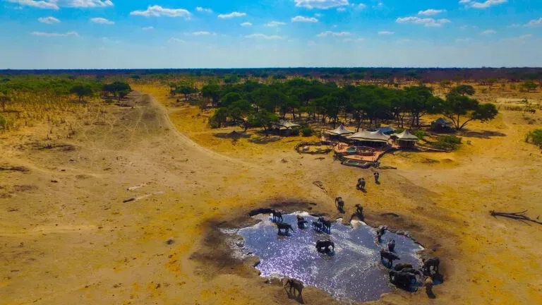 Victoria Falls e Wildlife Safari