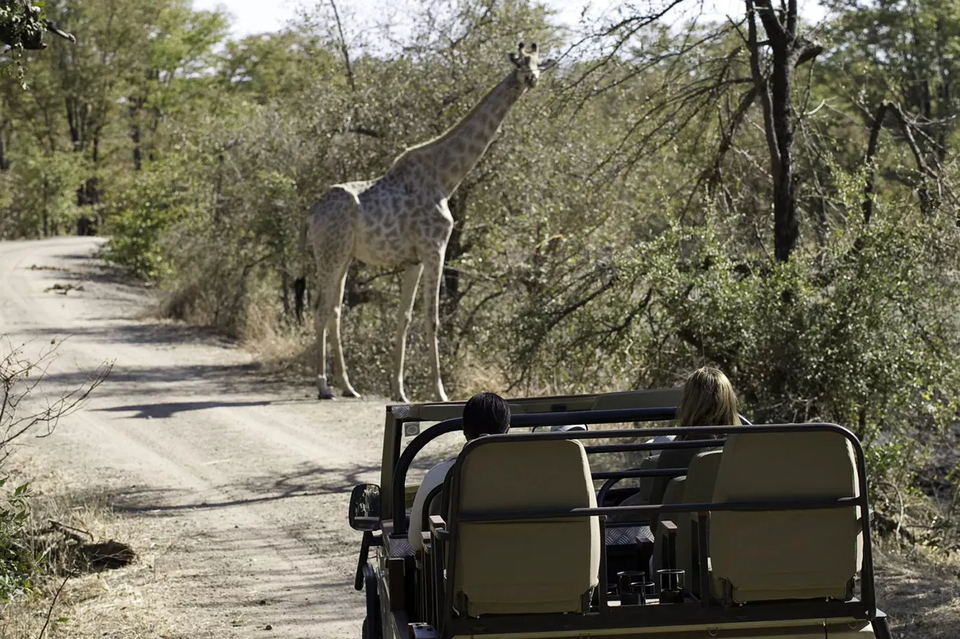 Pessoa em camelo no deserto