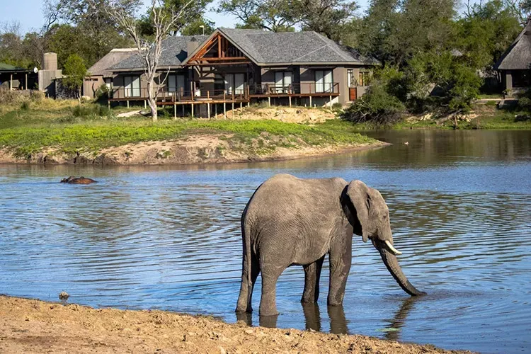Pessoa em camelo no deserto
