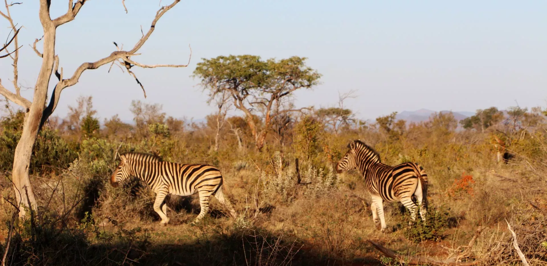Pessoa em camelo no deserto
