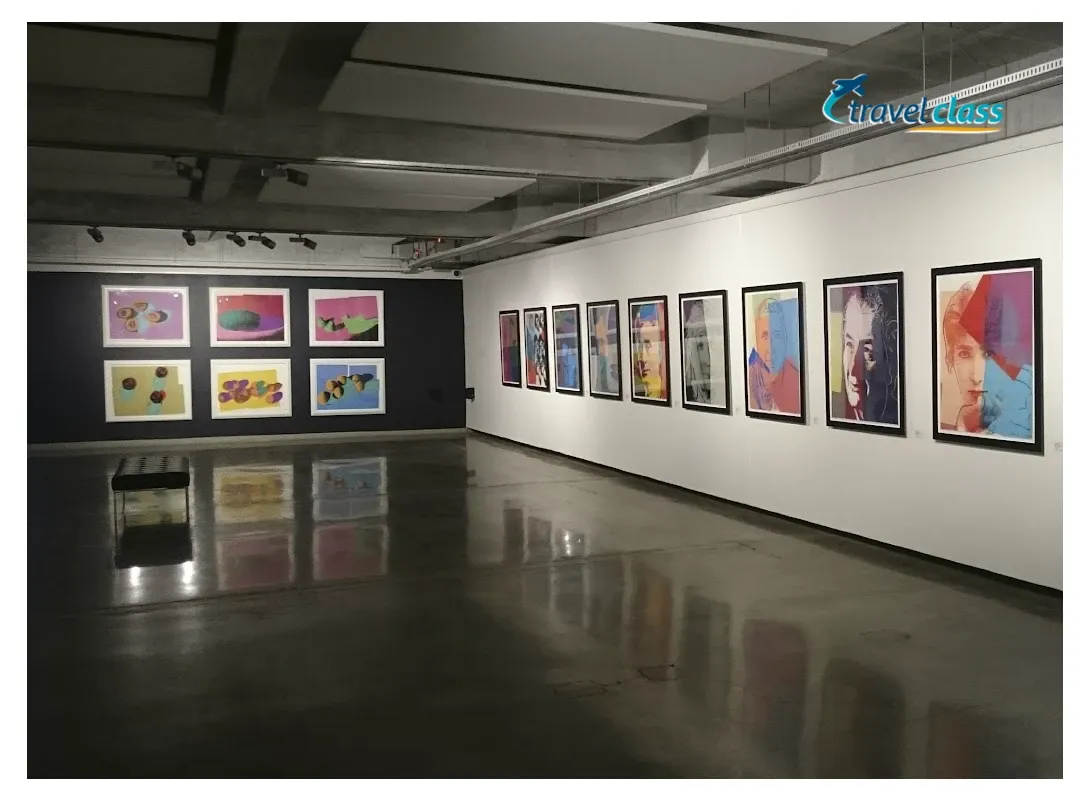 Pessoa em camelo no deserto