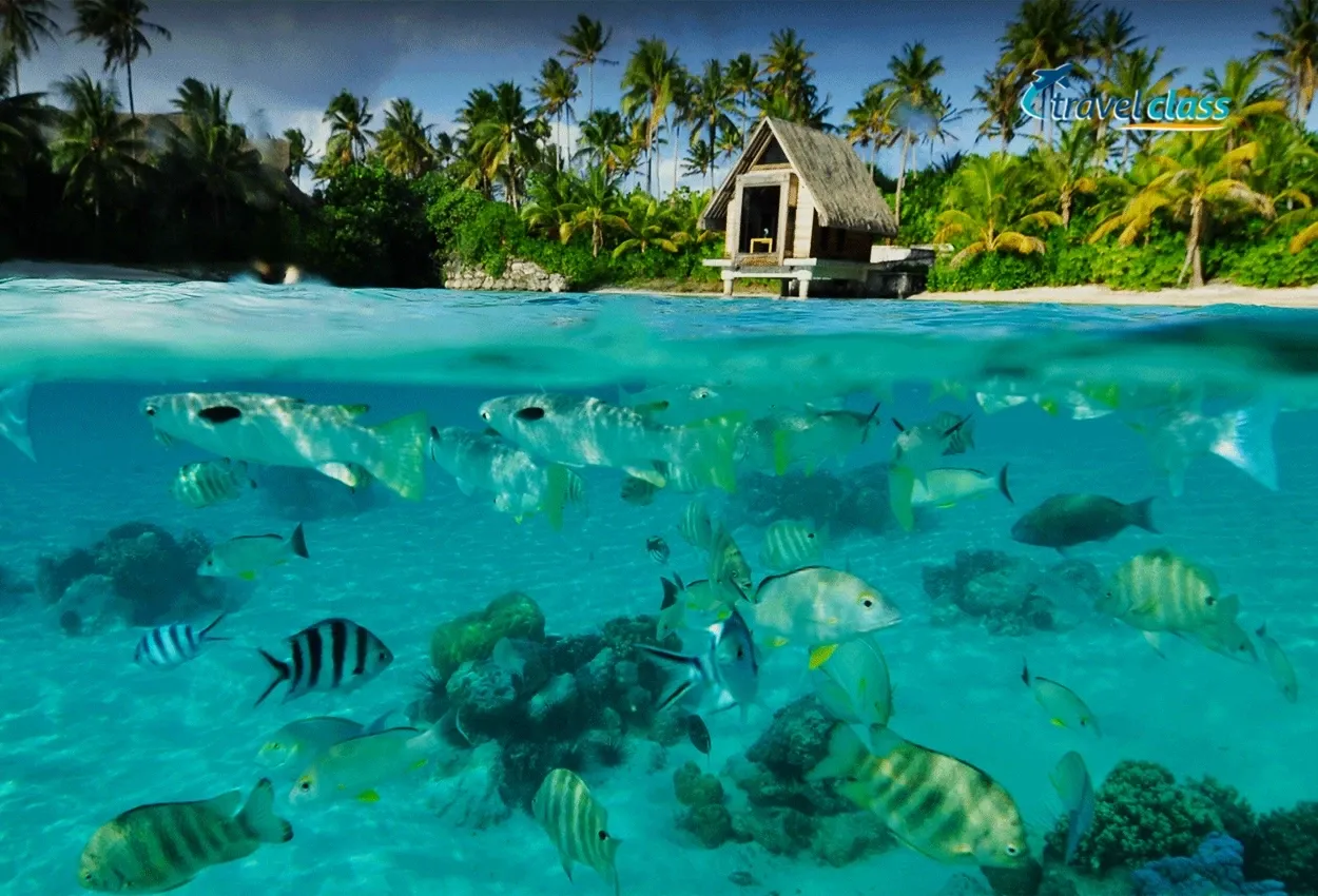 Pessoa em camelo no deserto