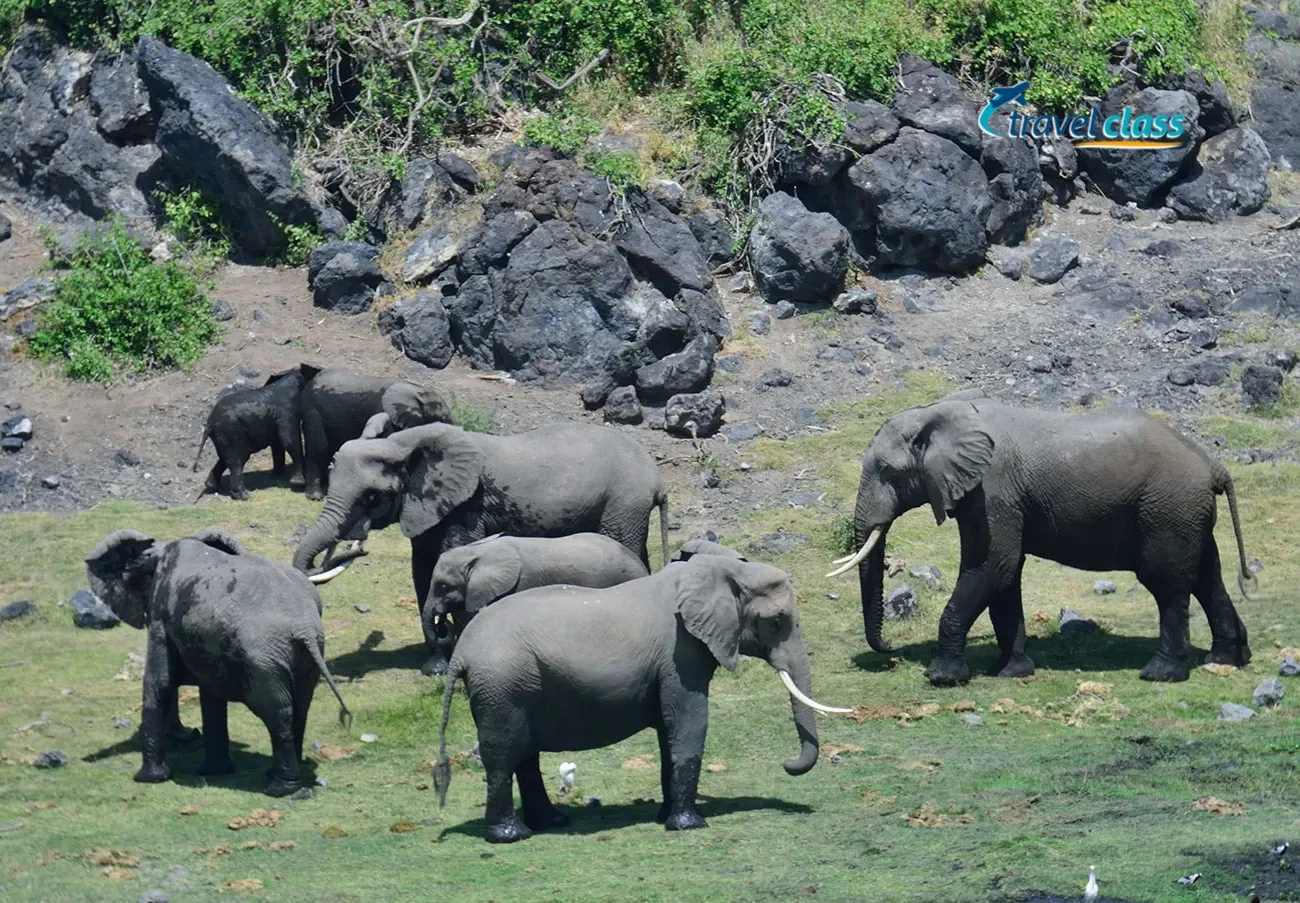 Pessoa em camelo no deserto
