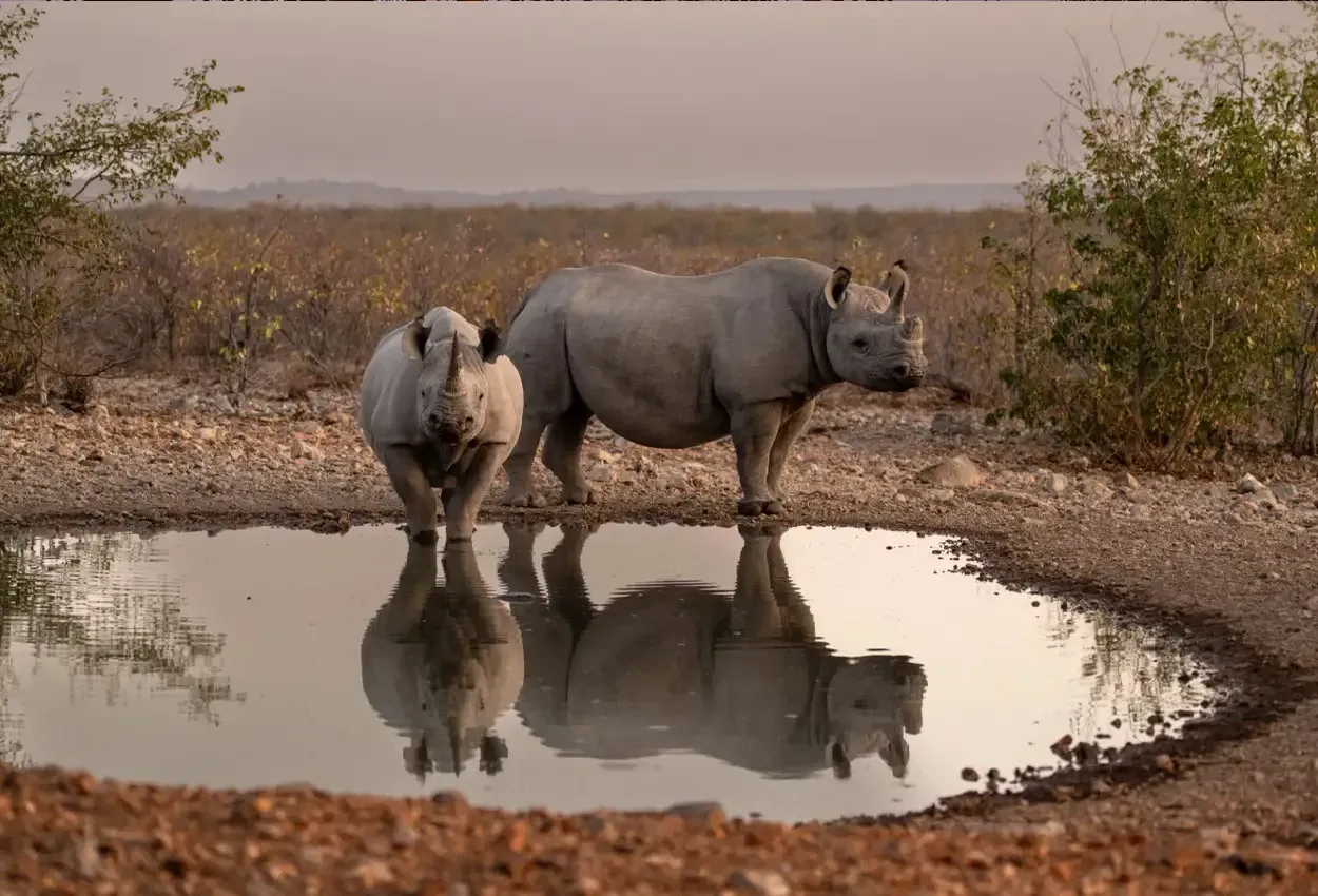 Pessoa em camelo no deserto