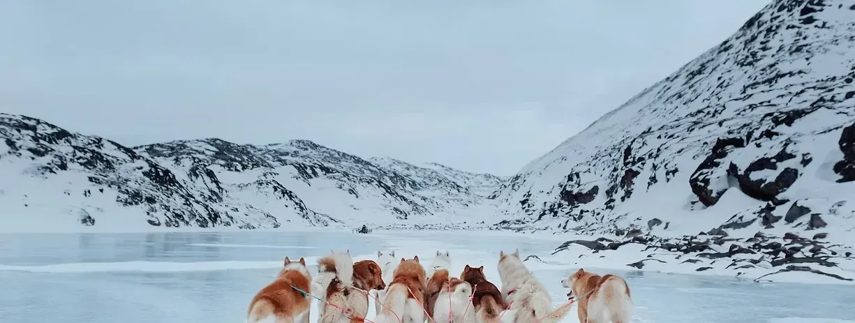 Pessoa em camelo no deserto