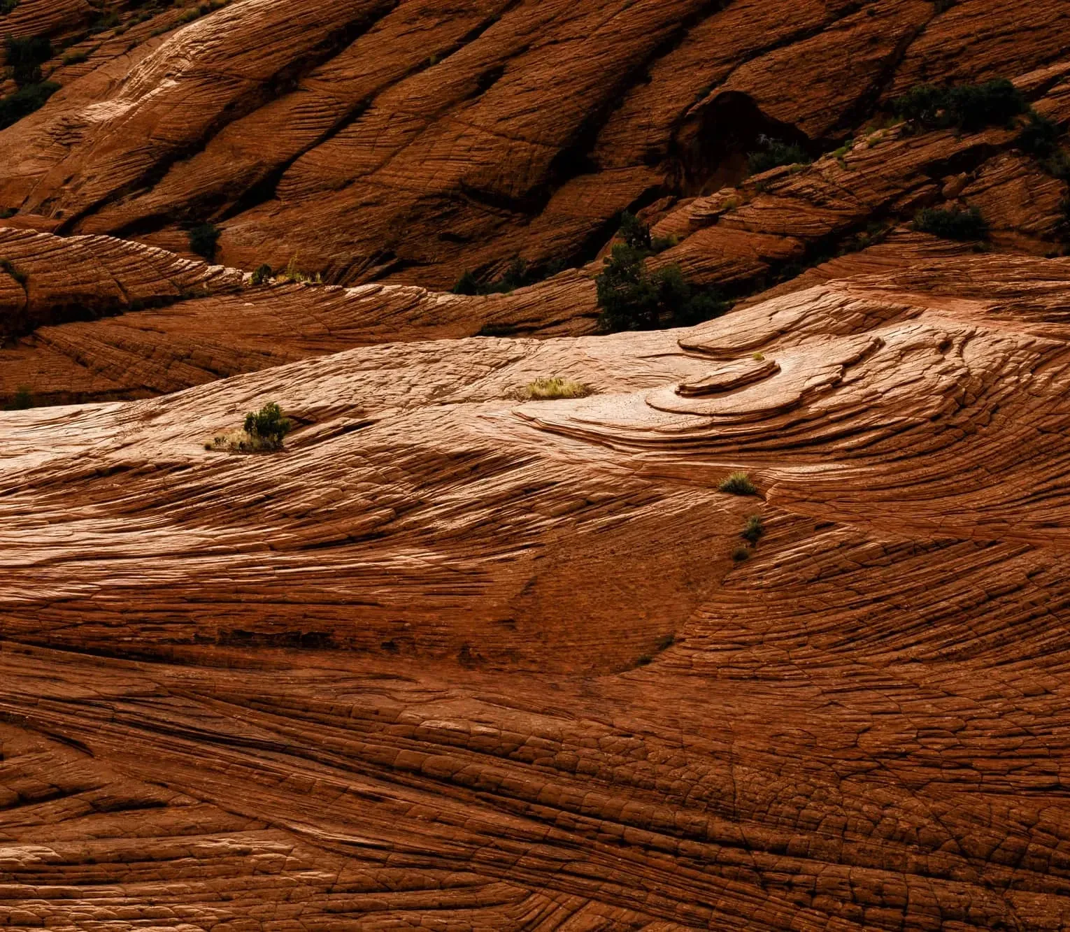 Pessoa em camelo no deserto