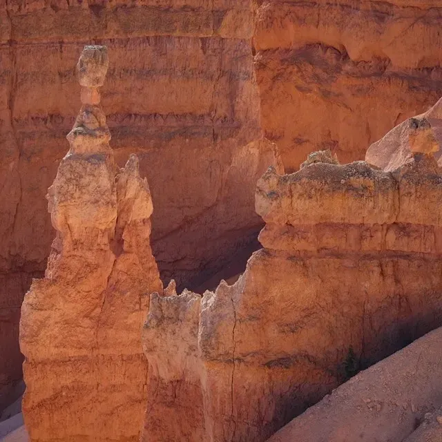 Pessoa em camelo no deserto