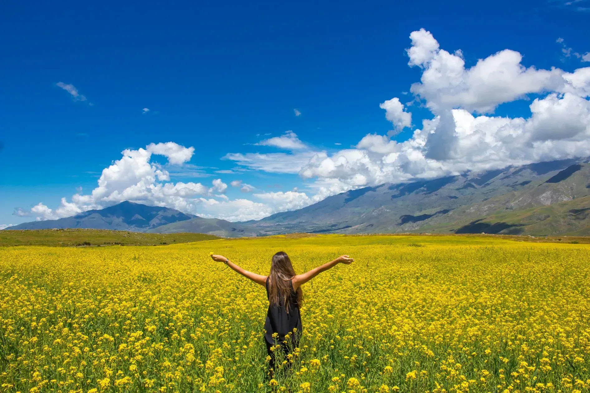 Pessoa em camelo no deserto