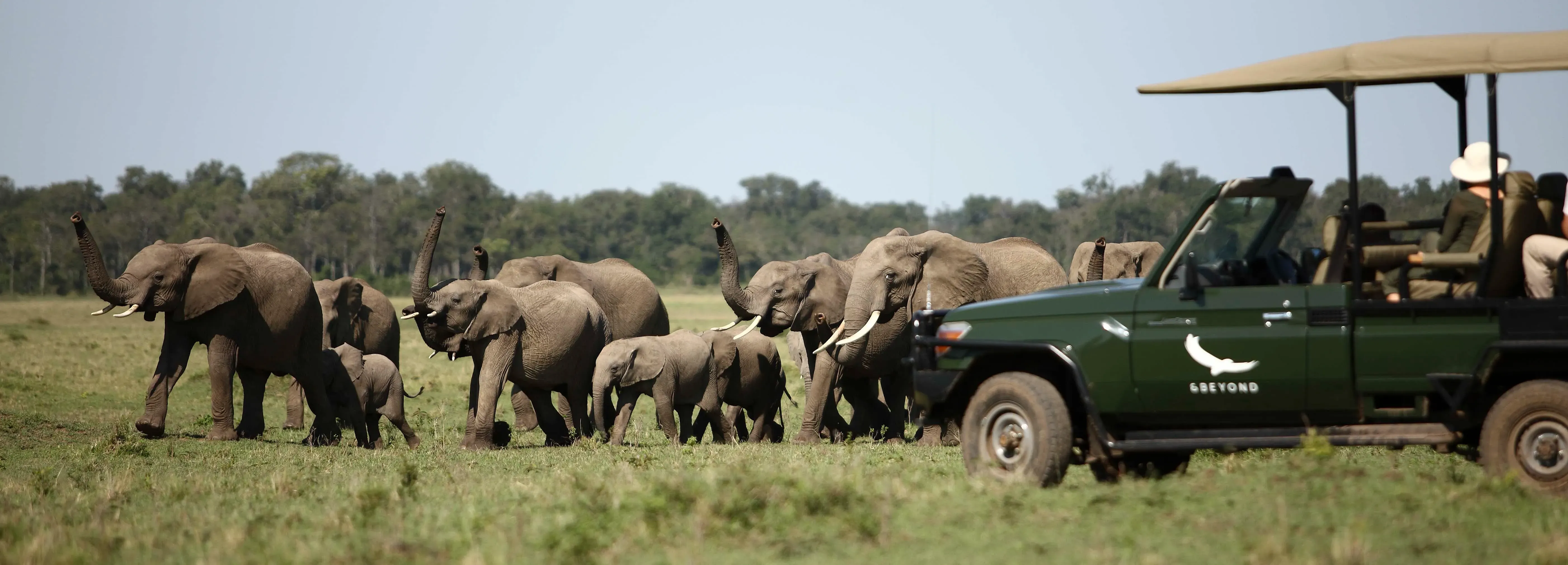 Pessoa em camelo no deserto