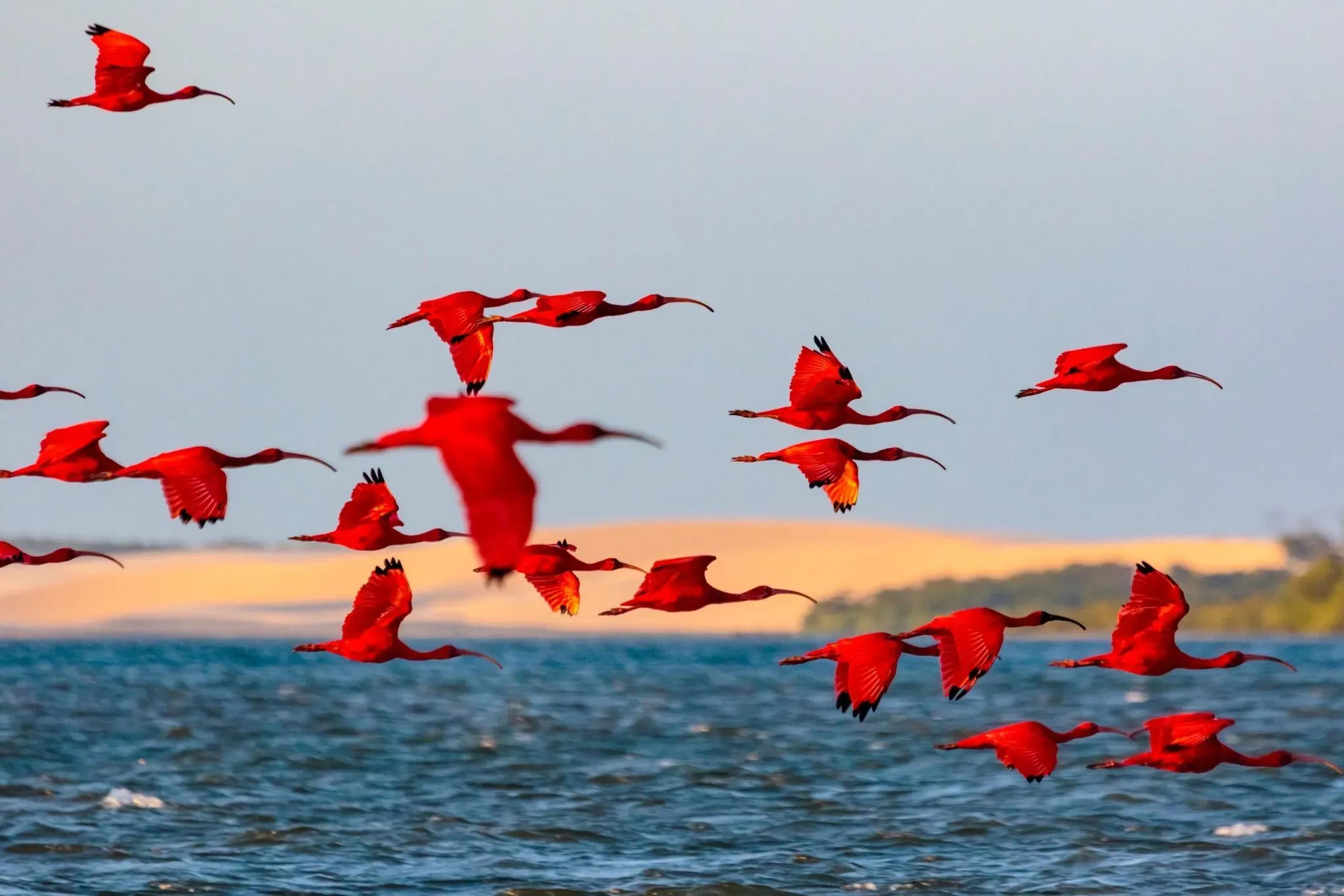 Pessoa em camelo no deserto