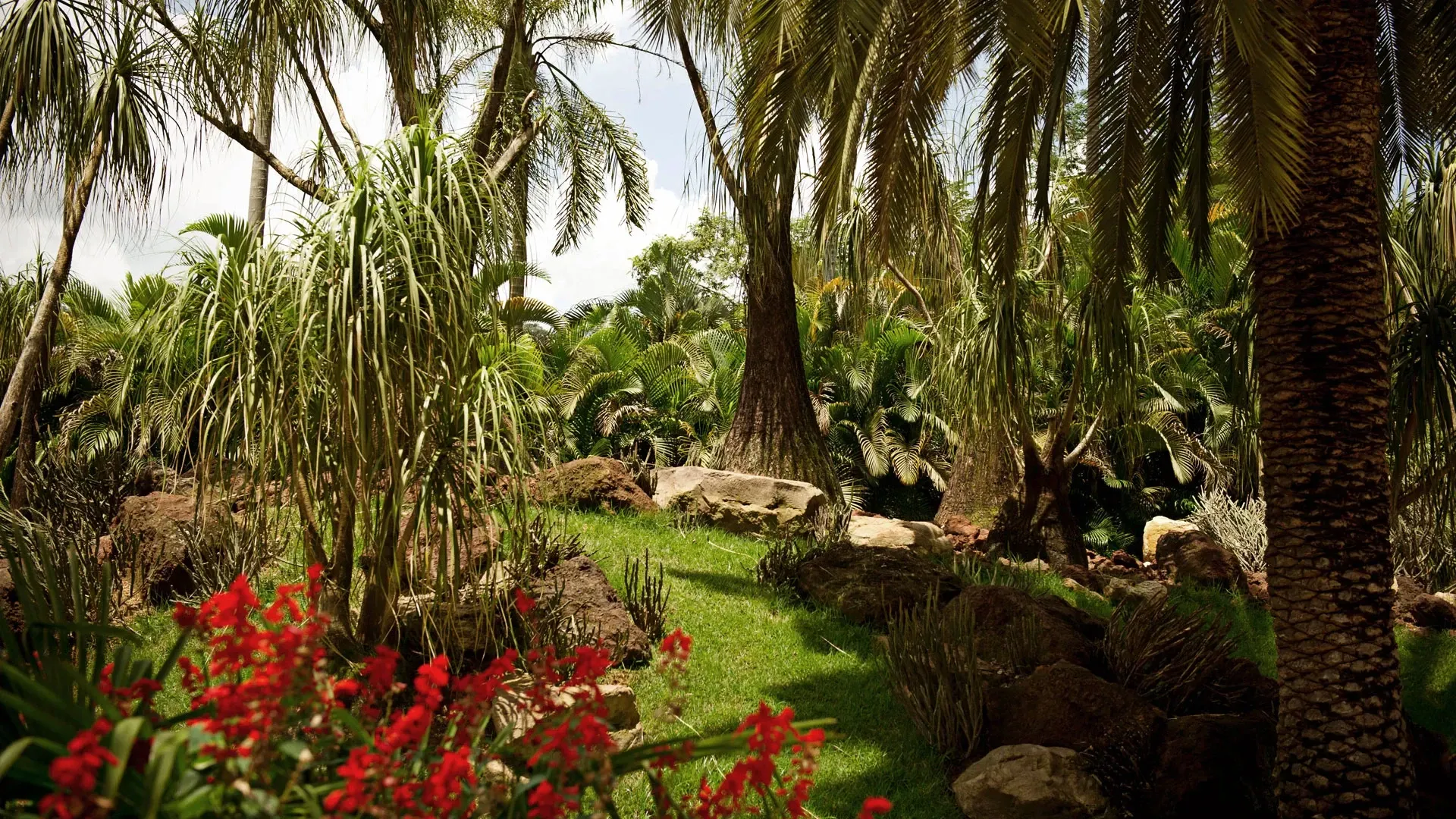 Pessoa em camelo no deserto