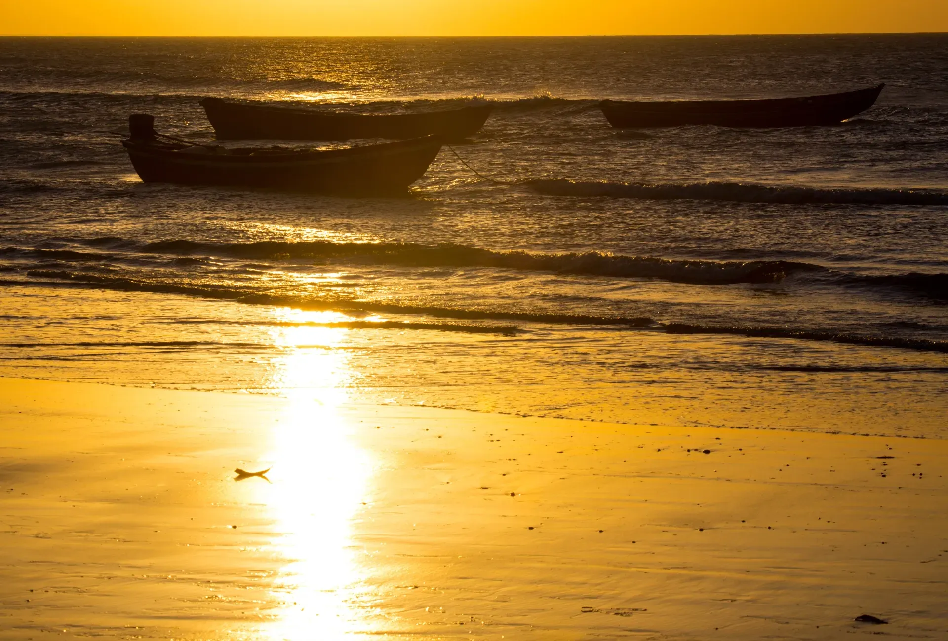 Pessoa em camelo no deserto