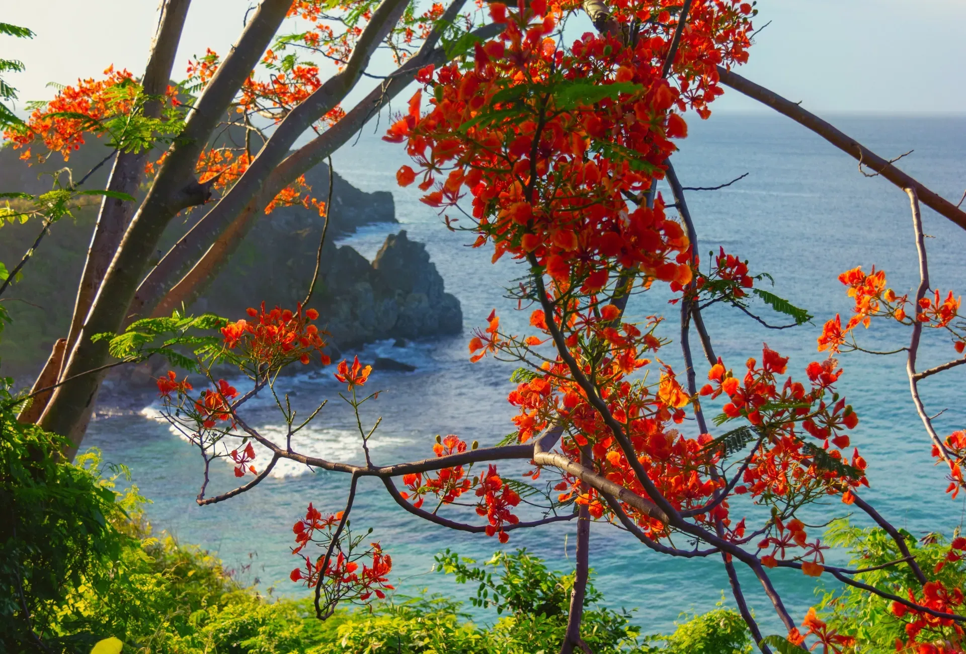Pessoa em camelo no deserto