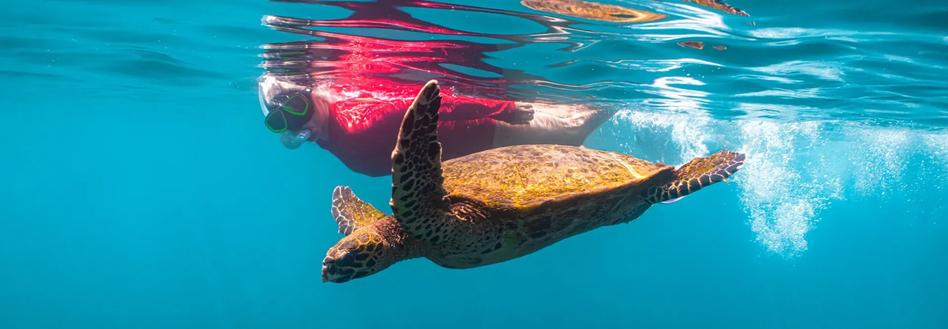 Pessoa em camelo no deserto