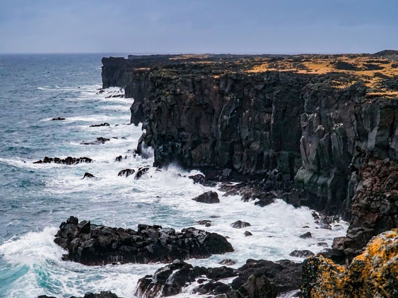 Pessoa em camelo no deserto