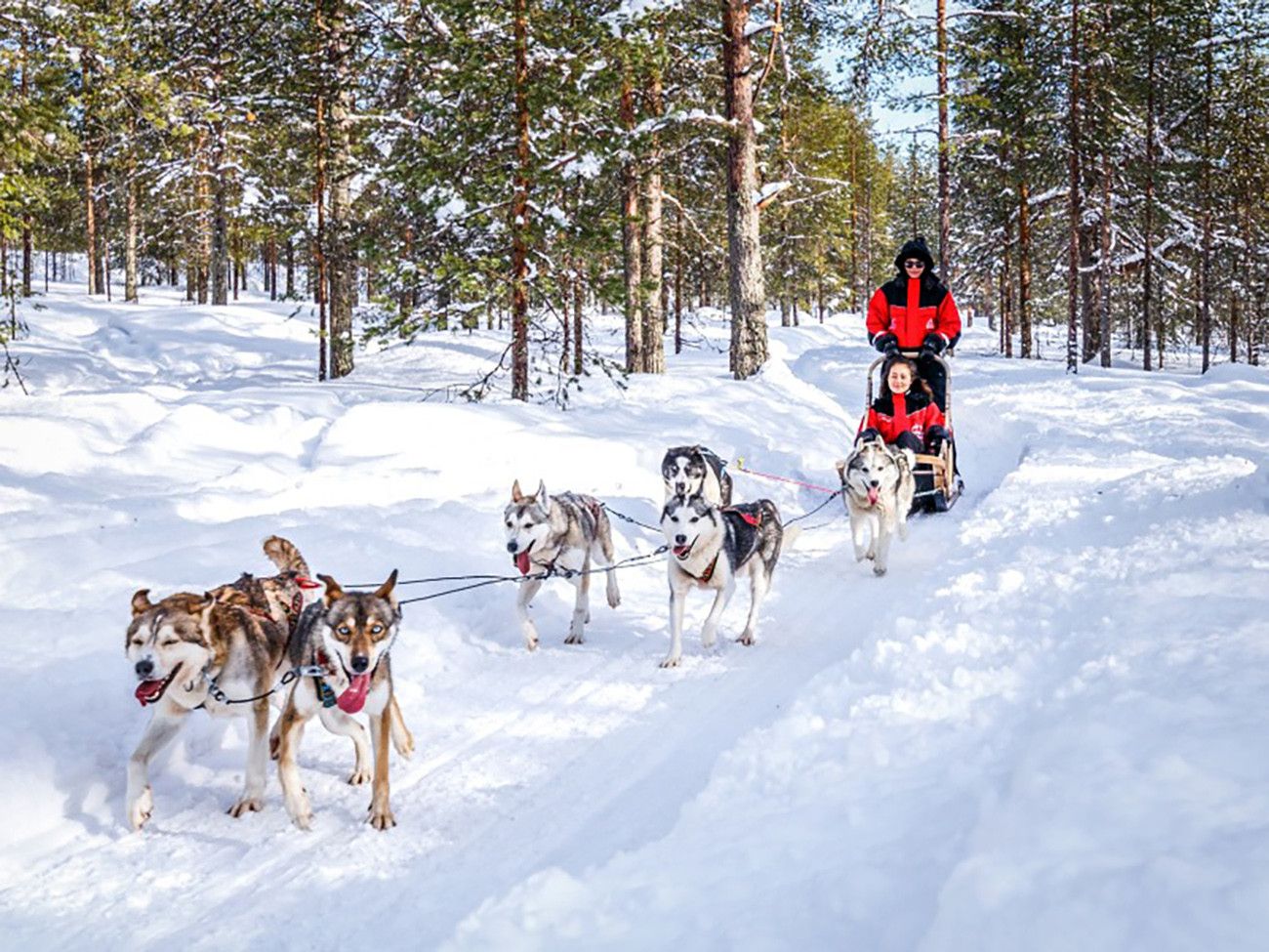 Pessoa em camelo no deserto