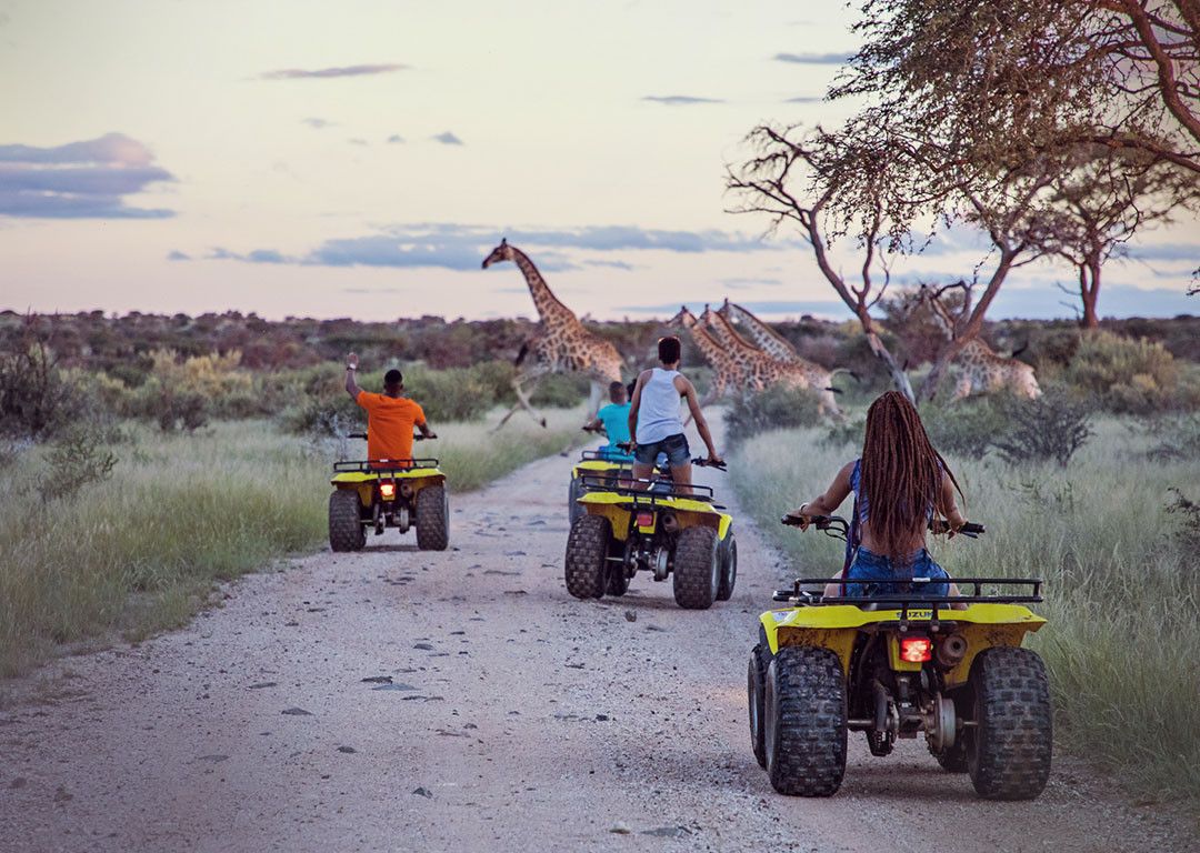 Cape Town & Safári no Parque Nacional Marakele